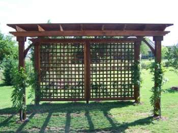 Freestanding Lattice Pergola 01