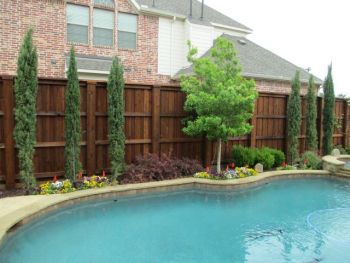 Stained Cedar Board On Board Fence for Outdoor Pool