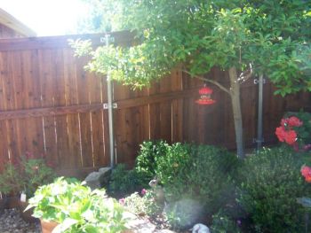 Budget Wood Fence Garden  by Texas Best Fence & Patio
