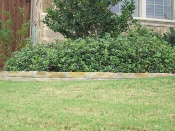 Retaining Flagstone Wall