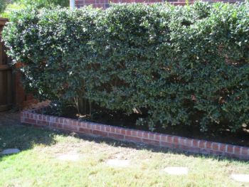 Hardscape Brick Retaining Wall