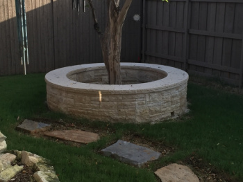 Retaining Flagstone Wall Around Tree