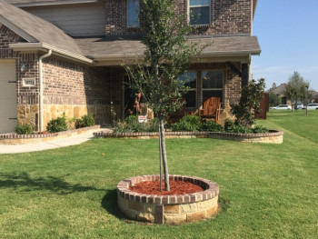 Flagstone Retaining Wall for House and Tree