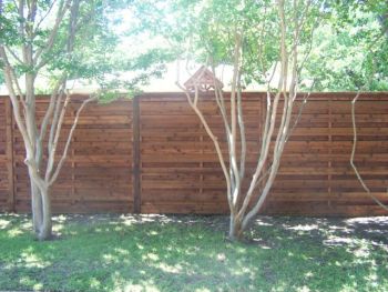 Horizontal Board on Board Cedar Fence