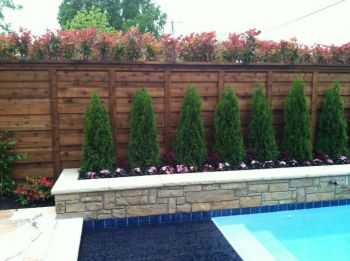 Pool Privacy Horizontal  Cedar Fence