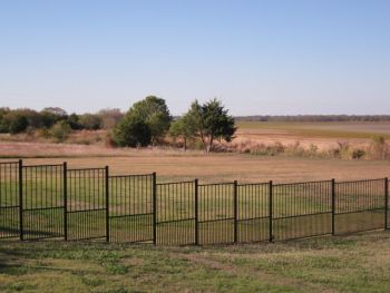 Yard Iron Fence