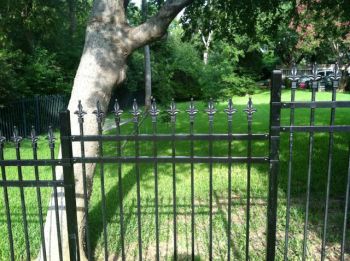 Wrought  Iron Fence