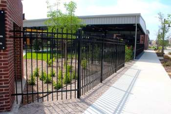 Perimeter metal fence enclosing landscaped area