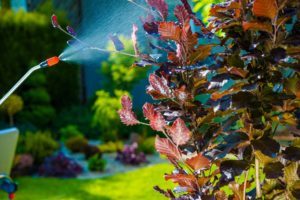 outdoor pests and fence maintenance - man spraying pesticide in yard