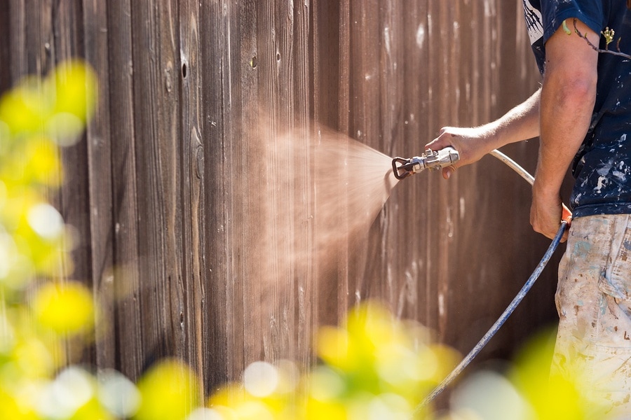 backyard pests - fence being sprayed and stained