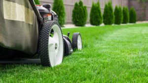 Home Maintenance - Lawn Mower on Green Grass