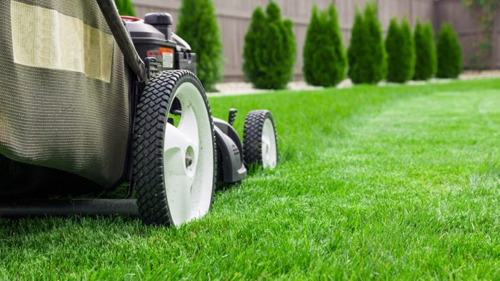 Home Maintenance - Lawn Mower on Green Grass