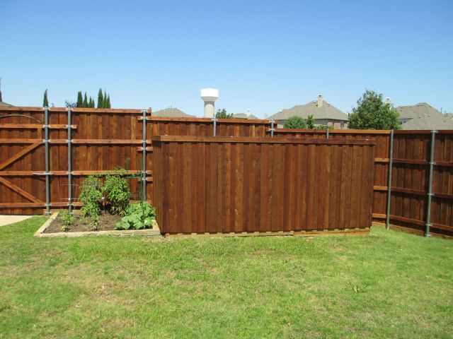 fence stain - stained privacy board on board fence in backyard