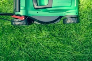 outdoor pests and fence maintenance - lawn mower mowing lawn