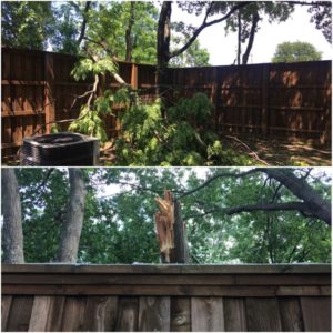 wood fence damage - broken tree branch fallen on wood fence